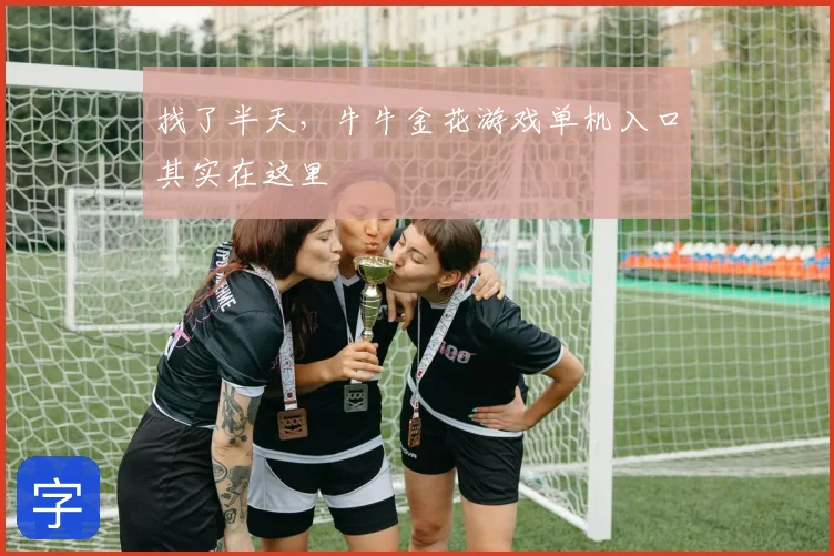 找了半天，牛牛金花游戏单机入口其实在这里