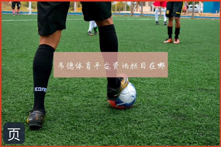 韦德体育平台资讯栏目在哪